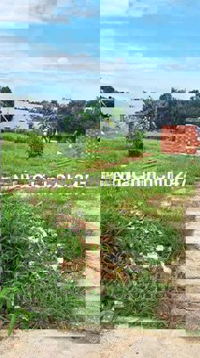 CHÍNH CHỦ BÁN GẤP 200M2 FULL THỔ CƯ, SỔ RIÊNG ĐẤT PHƯỜNG BẢO VINH