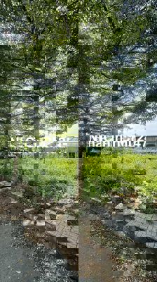 Chủ ngộp bán gấp lô đất ngay KDL Bửu Long -Tp Biên Hòa