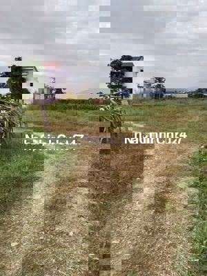 CHÍNH CHỦ BÁN ĐẤT HÀM THUẬN NAM BÌNH THUẬN