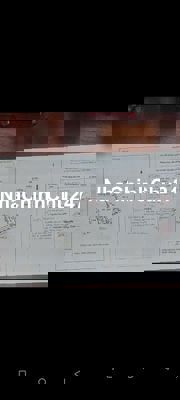 Chín chủ cần bán