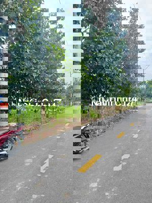 Chính Chủ Cần Bán Lại Miếng Đất Đường Nhựa ở TP HCM  7.5x32m chỉ 350tr