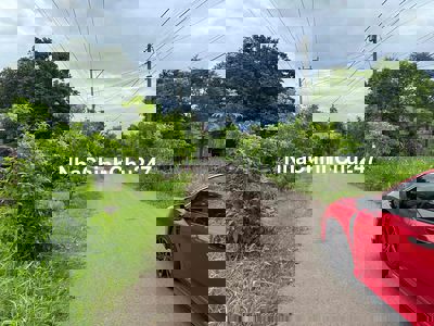 bán đất gia đình 1 Lô *** tại xã sông trầu chính chủ