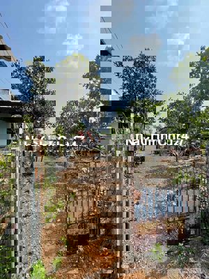 Chính chủ bán đất rẫy sổ hổng riêng