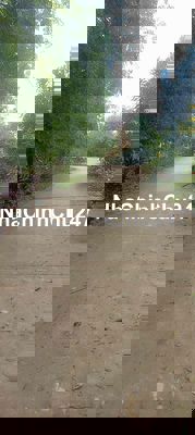 Bán đất thổ cư chính chủ