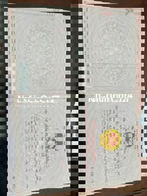 Nhà chính chủ, công chứng trong ngày