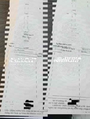 🏡 ĐẤT ĐẸP CHÍNH CHỦ – ĐƯỜNG N1 VSIP 2 MỞ RỘNG (KHU A)