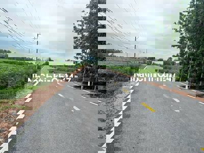 CHÍNH CHỦ BÁN 2 LÔ ĐẤT SẴN SỔ MẶT TIỀN 12M TRUNG TÂM LONG CHỮ-BẾN CẦU