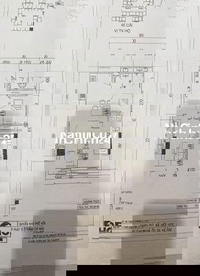 CHÍNH CHỦ CẦN BÁN GẤP CĂN HỘ 35 HỒ HỌC LÃM, AN LẠC, BÌNH TÂN, TPHCM