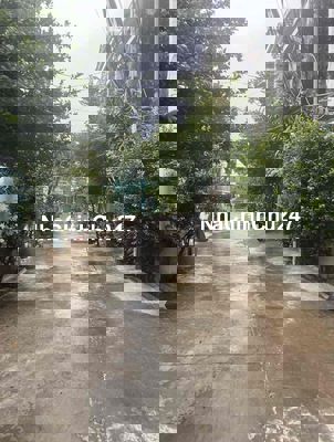 Bán nhà hẻm xe hơi một đời chủ tiện xây CHDV