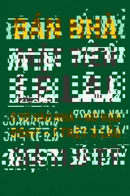 Chính chủ bán nhà Lê lai, nở hậu