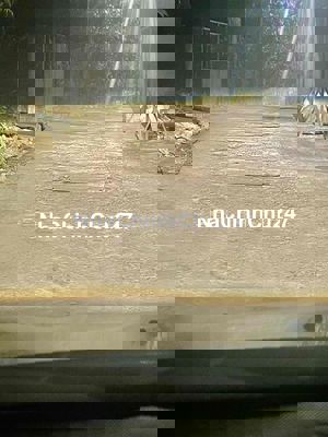 tôi chính chủ bán lô đất đường ô tô Phú Thượng P Hải Vân Đà Nẵng