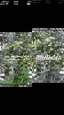 MT ĐƯỜNG LỚN THỔ CƯ  CHÍNH CHỦ ! VỊ TRÍ ĐẸP !!!