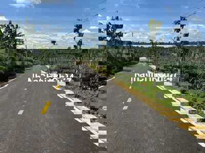 ĐẤT CHÍNH CHỦ BÁN 20 LÔ ĐẤT Xã Hòa Ninh, Huyện Di Linh, Tỉnh Lâm Đồng