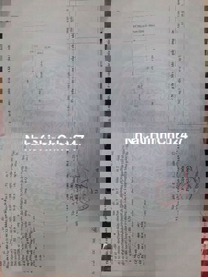 Đất lộ Tây Ninh ngộp chủ