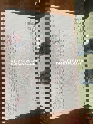 CHÍNH CHỦ LÔ 80m2 Đất Kiệt Ô Tô 4m Đặng Thái Thân