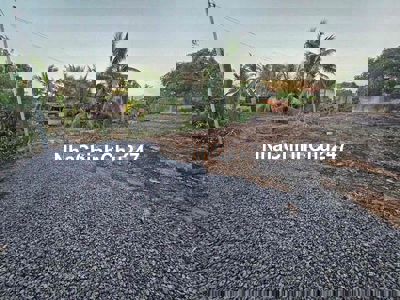 Chính Chủ Gửi Bán Gấp Lô Đất Bình Tiền 1 Đức Hoà Hạ