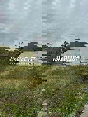 Đất chính chủ gần chợ Phi Nôm 137m vuong