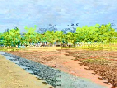 Chính chủ cần bán 2 lô mặt tiền 260m2 780triệu/lô  đang lên đường nhựA