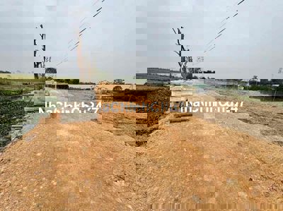 Chính Chủ cần bán đất Tiến Nông rất đẹp