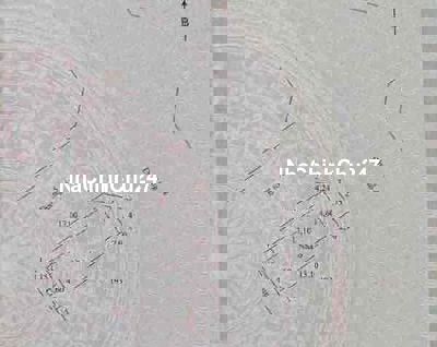 NHẬN CHÍNH CHỦ  NHÀ GÓC 3 MẶT THOÁNG – 1 TRỆT 1 LẦU – KHU NHÀ Ở HƯNG T