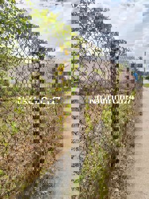 Tôi chính chủ cần bán lô đất tại ấp 7 bến lức Long An