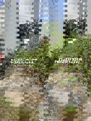 Bán Đất nền chính chủ