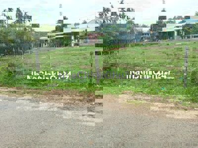 CHỦ NGỘP CẦN BÁN GẤP LÔ ĐẤT 300M2 NGAY MT TỈNH LỘ 7 FULL THỔ CƯ, SHR