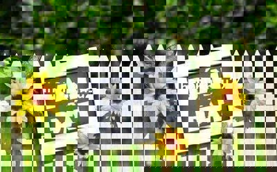 Bán nhà chính chủ . Cam kết tin thật có nhà thật 100%