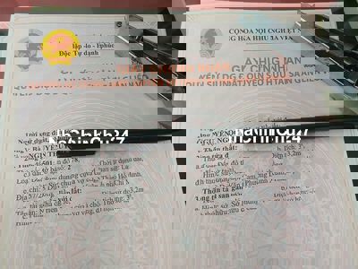 Chính chủ bán nhà 57/28 Dương Văn Cam,1 trệt 1 lầu,hướng Đông