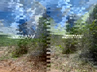 CHÍNH CHỦ BÁN GẤP 4.124 m² - XÃ PHƯỚC AN – NHƠN TRẠCH – ĐỒNG N