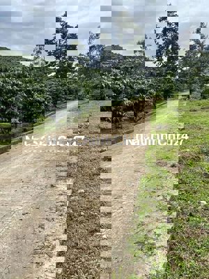 Bán đất vườn, bán nhà Định Quán, bán nhà vườn tại Đồng Nai chính chủ