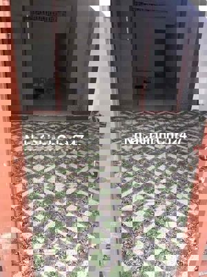 chính chủ bán nhà