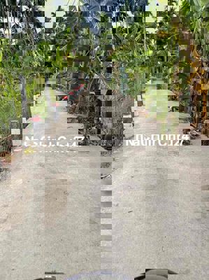 Chủ ngộp bán gấp đất vườn An Thạnh-đường ô tô,khách nhanh tay