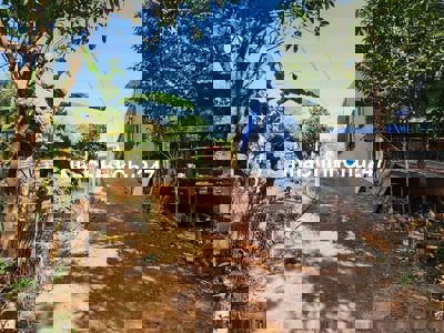 30x50 vườn Cao su, chủ nhà vừa cắt ra. Cách DT753 mỗi 500 mét