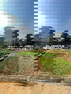 CHỦ NGỘP BÁN GẤP ĐẤT TẠI BÌNH YÊN, HÒA LẠC