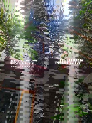 BIỆT THỰ PHỐ CHÍNH CHÍNH CHỦ LÂU ĐỜI 2 MẶT HẺM NGANG 5.5M 4 TẦNG BTCT