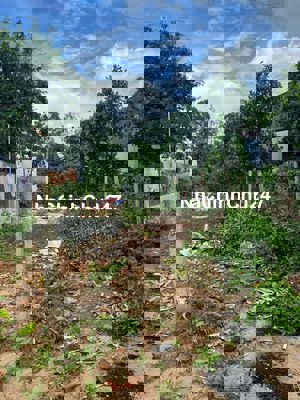 Chính chủ bán đất Enao A Phường Tân An