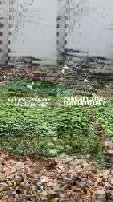 chính chủ bán đất nhị khê