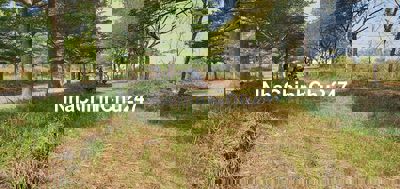 Bán nền Daresco Đức Hòa giá ngộp. Chính chủ