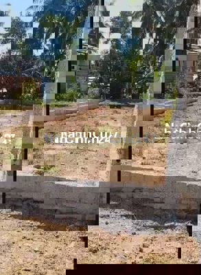 Chính chủ bán nhanh lô đất full thổ cư cổng chào TX Hoài Nhơn