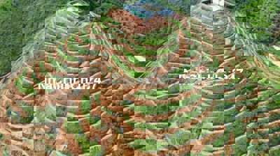 TÔI CHÍNH CHỦ BÁN ĐẤT QUỐC OAI - ĐẠ TẺH