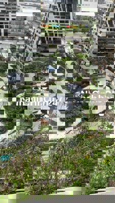 CHÍNH CHỦ BÁN MASTERI LUMIERE BOULEVAD . Lh ***