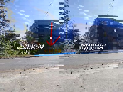 Chủ cần bán gấp lô đất lấy tiền xoay sở công việc