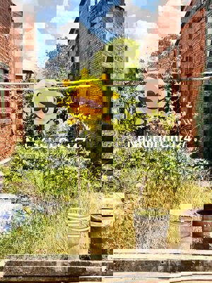 chính chủ giảm cắt lỗ nền đẹp mặt tiền bê tông , sổ riêng sẵn