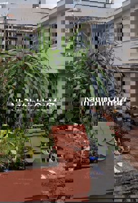 Chủ đi định cư nên sang lại nhà đất trung tâm Tp.Đà Lạt