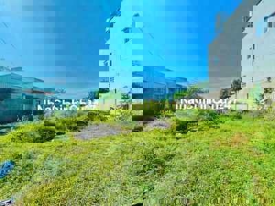 CHỦ NGỘP, BÁN 1029m2 ĐẤT THỔ CƯ  ĐƯỜNG ĐÃ TRẢI NHỰA