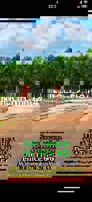 chính chủ hh 2% đất mặt tiền Hoà Hội Xuyên Mộc phủ hồng 1000m2