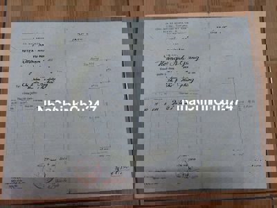 Hải Phòng- Chính chủ có 2 căn mặt đường 208 cần bán