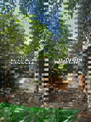 Mình chính chủ cần bán gấp