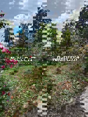 Chủ cần bán lô đất đẹp vị trí vàng